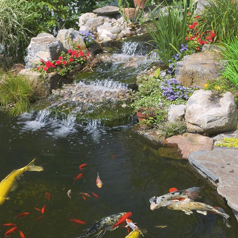 TetraPond Pond Sticks 3.53 Ounces - Healthy Nutrition for Goldfish and Koi - Image 2